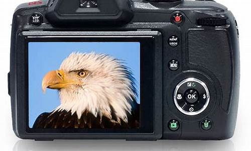 数码相机_数码相机品牌排行榜前十名
